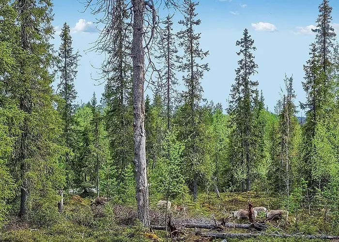 別荘 Rukan Hukka By Interhome